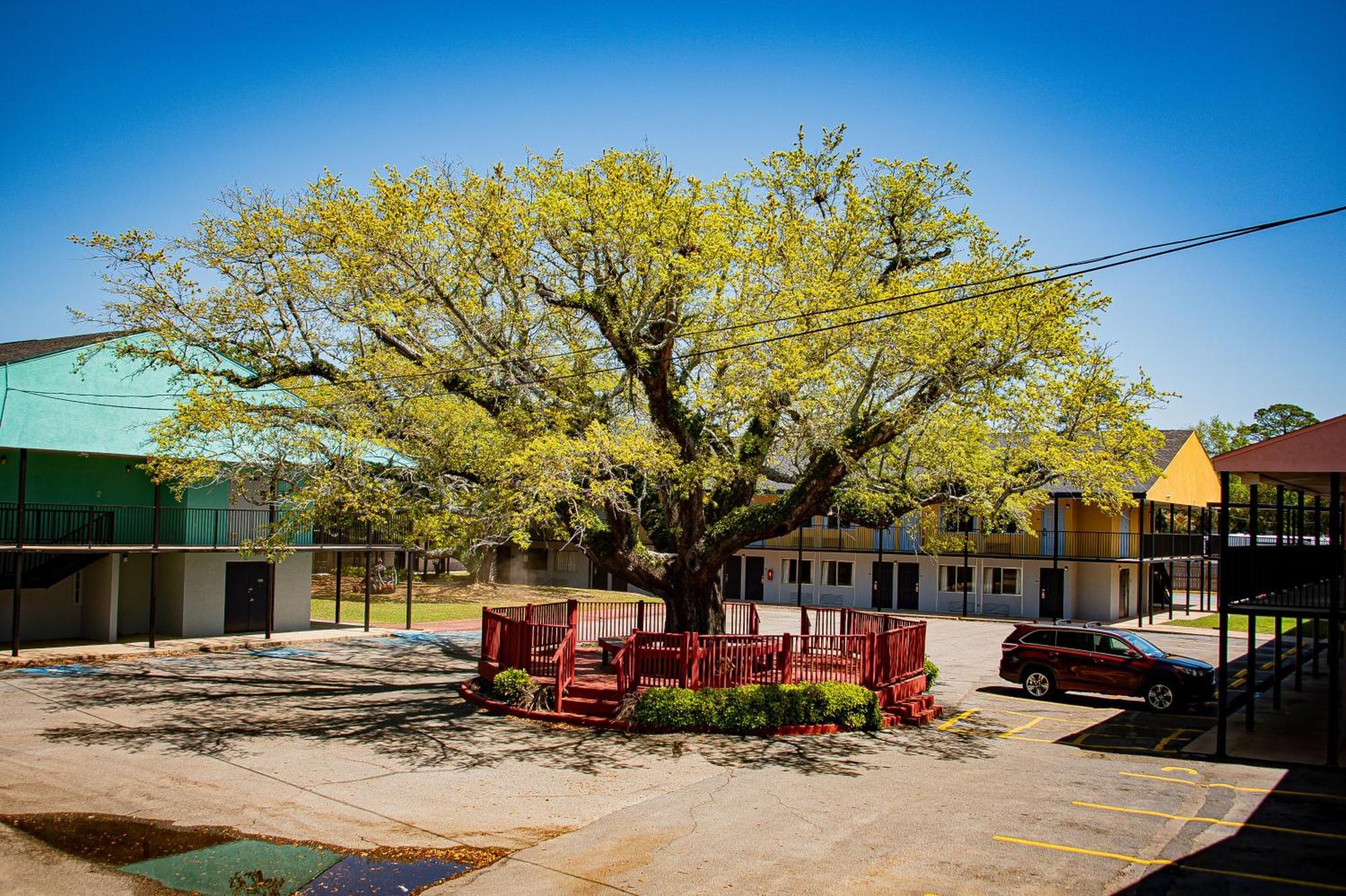 Super 8 By Wyndham Biloxi Μοτέλ Εξωτερικό φωτογραφία